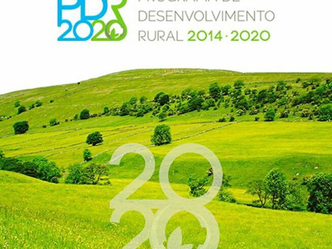 PDR2020 – novas regras