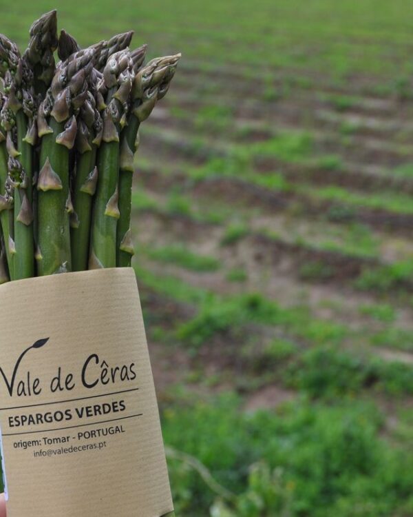 Espargueira