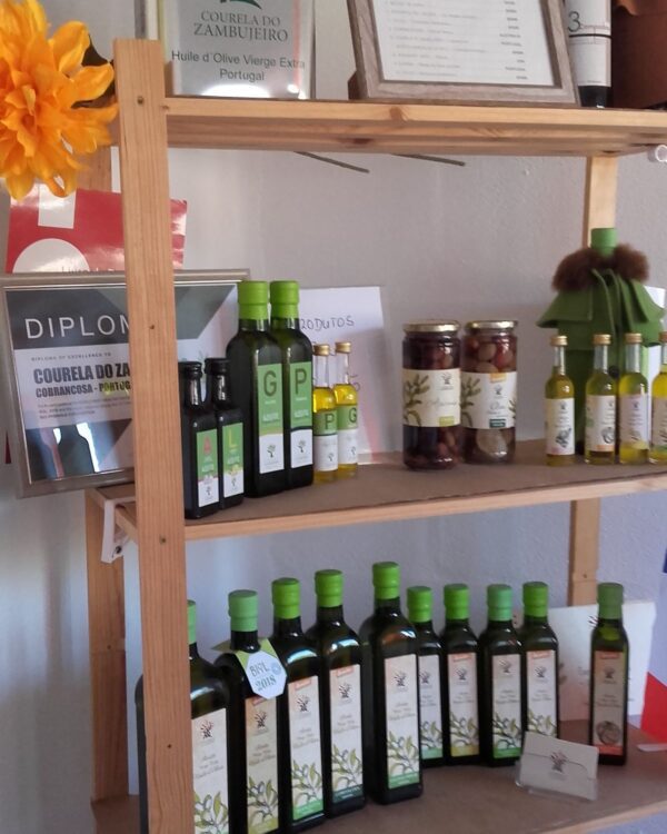 Olival - Courela do Zambujeiro (azeite premiado) - Redondo (setembro de 2019)