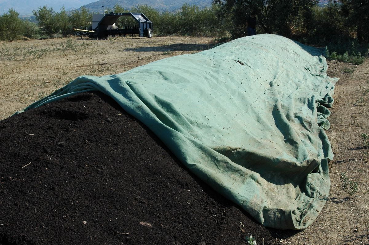 Olival compostagem com engaço de uva e bagaço de azeitona - VIAZ - Torre de Moncorvo (agosto de 2007)