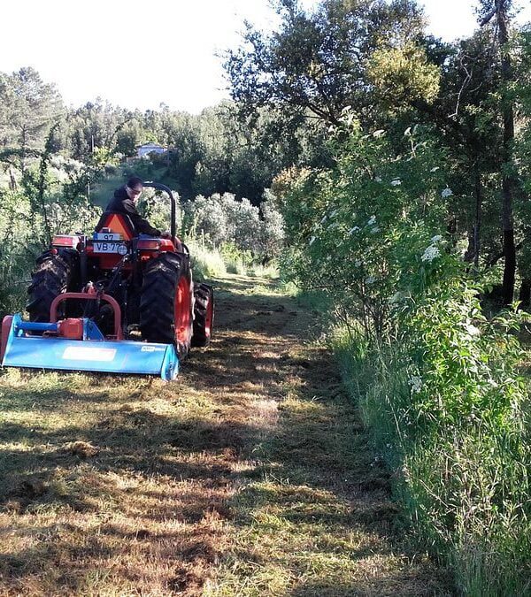 Adubação verde e rama da poda a destroçar - Pomar Agro-Sanus