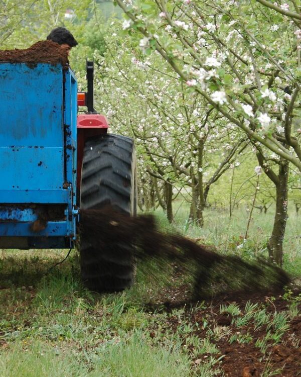 Macieiras - Aplicação de composto ao solo - Pomar Agro-Sanus - Ferreira do Zêzere (março de 2008)
