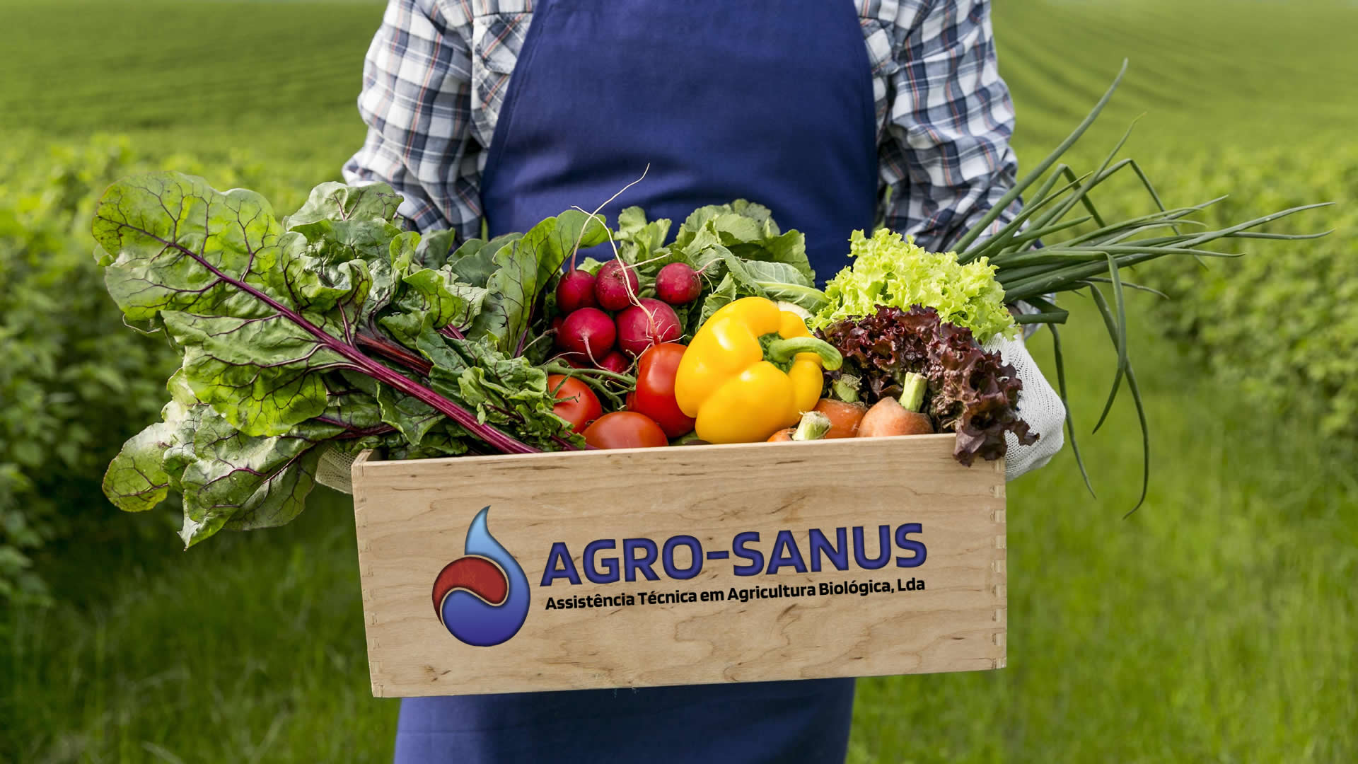 Agro-Sanus – Assistência Técnica Em Agricultura Biológica Lda