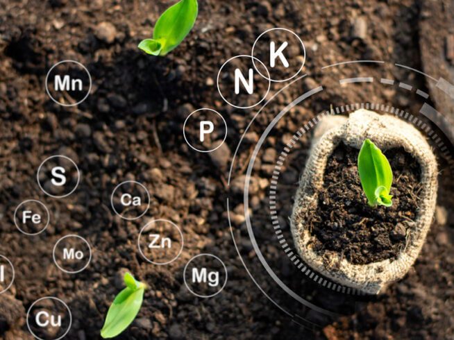 Agricultura biológica em Portugal e na União Europeia