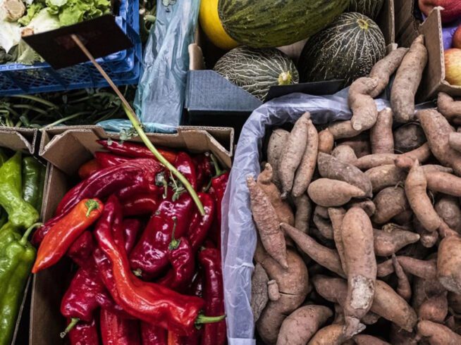 Desfazendo Falsidades de Pretensos Mitos Sobre Agricultura Biológica
